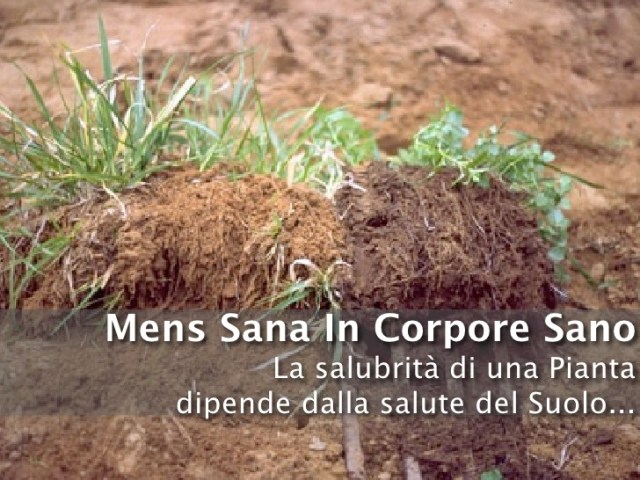 la-biodinamica-4-728